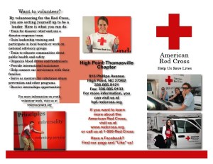 Click to view image in finer detail.